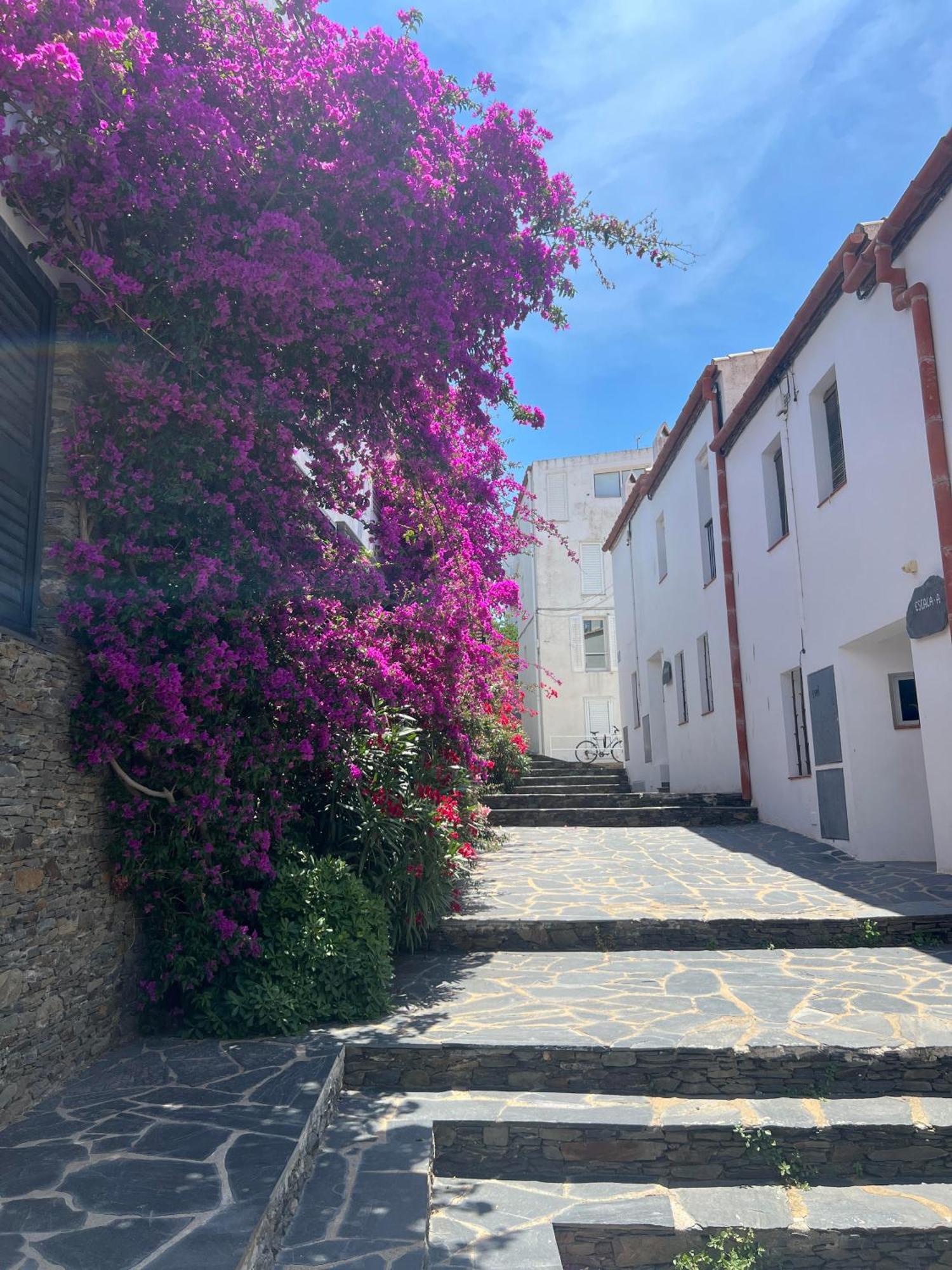 Canvas Apartments&Lofts Cadaques Exterior photo